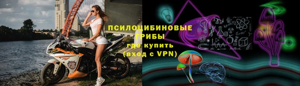 дживик Медвежьегорск