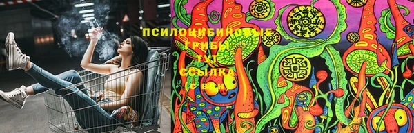 дживик Медвежьегорск