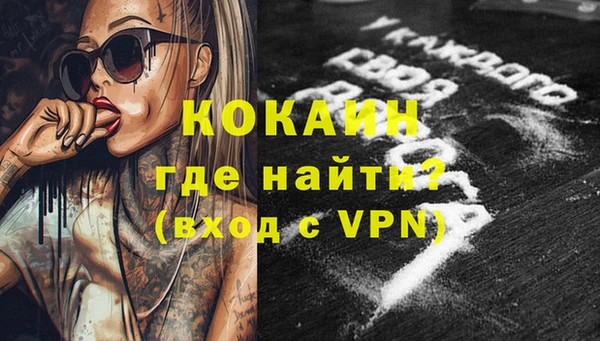 дживик Медвежьегорск