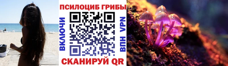 наркотики Кудымкар Псилоцибиновые грибы Magic Shrooms