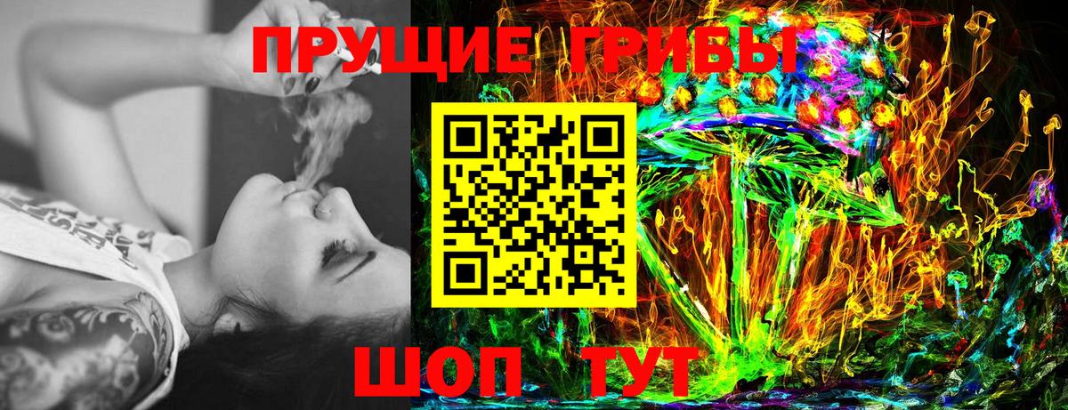 закладки  Галлюциногенные грибы мицелий  Вход с VPN  Кудымкар 