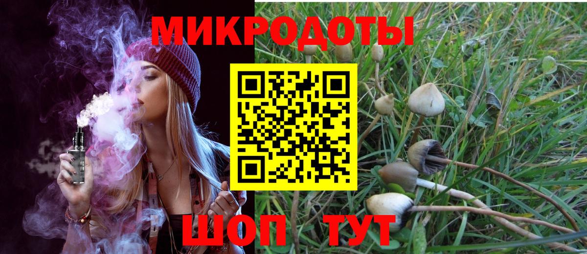 Галлюциногенные грибы мухоморы  Кудымкар  Псилоцибиновые грибы MAGIC MUSHROOMS 
