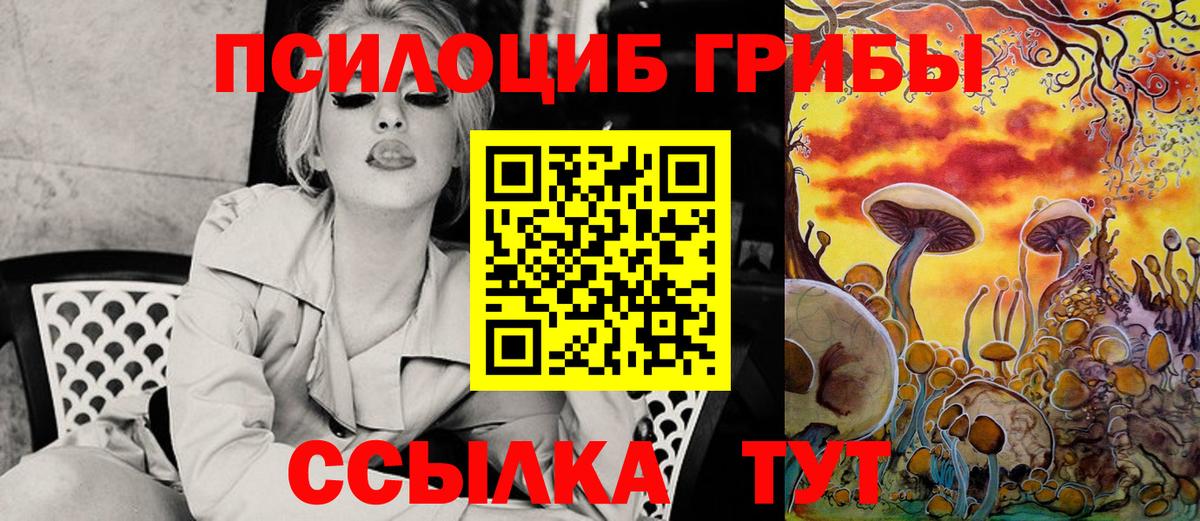 Галлюциногенные грибы Cubensis Кудымкар