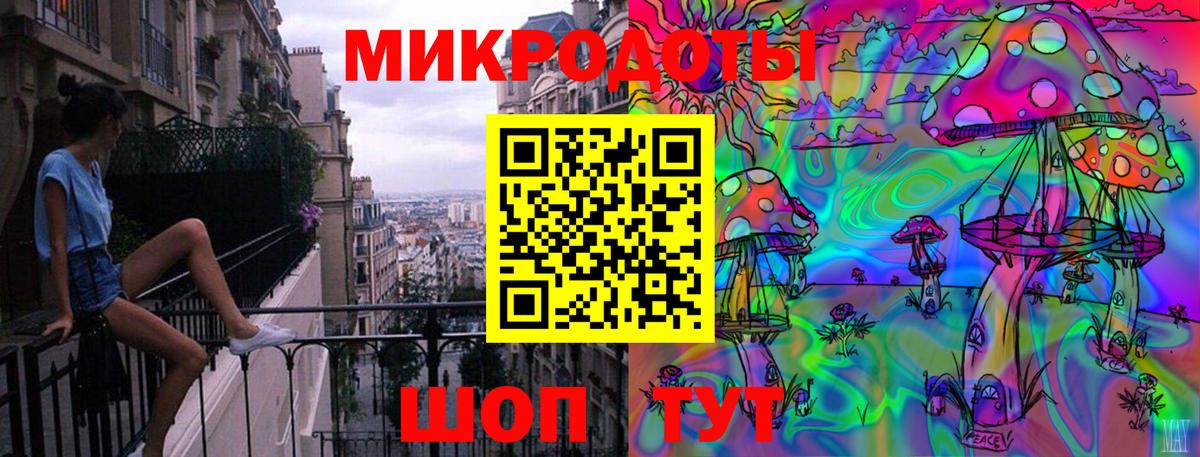 Псилоцибиновые грибы Psilocybine cubensis Кудымкар